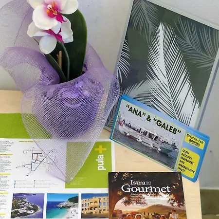 Arena Festival Apartment