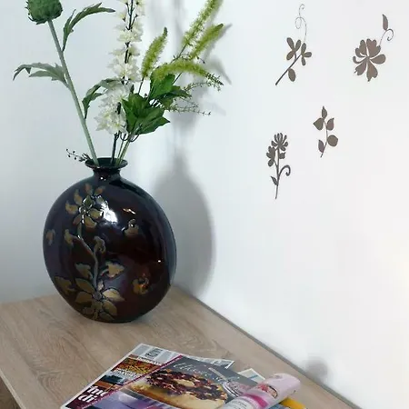 Arena Festival Apartment *