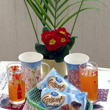 公寓 Arena Festival *