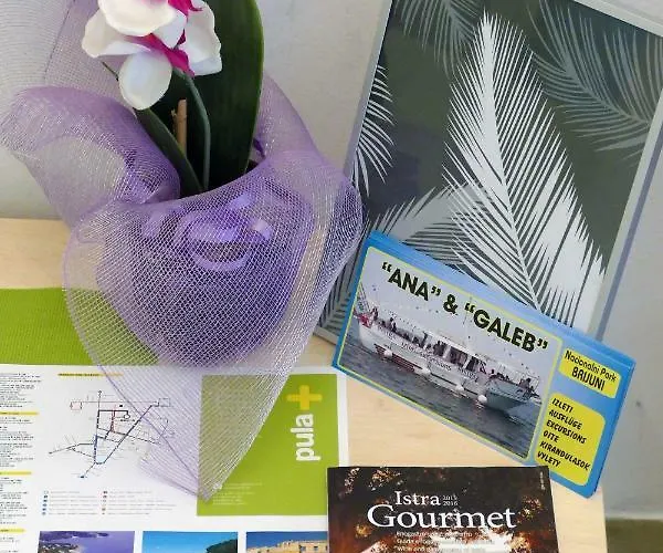 Arena Festival Διαμέρισμα