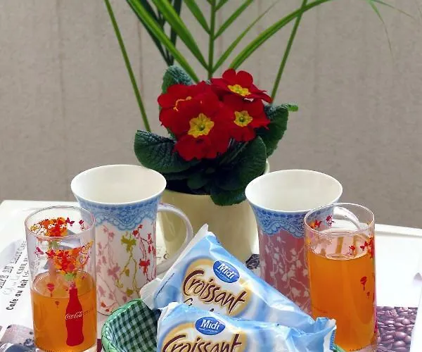 Διαμέρισμα Arena Festival *